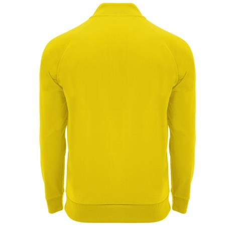 PACK BÁSICO - temporada 2024/2025 - incluye escudo en chándal, sudadera, camiseta y dorsal en camiseta